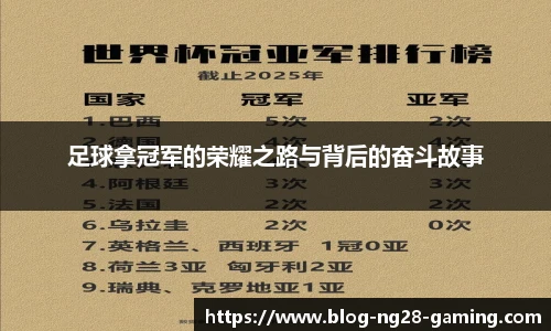 NG南宫28